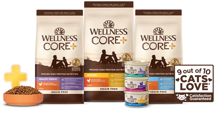 Wellness Core